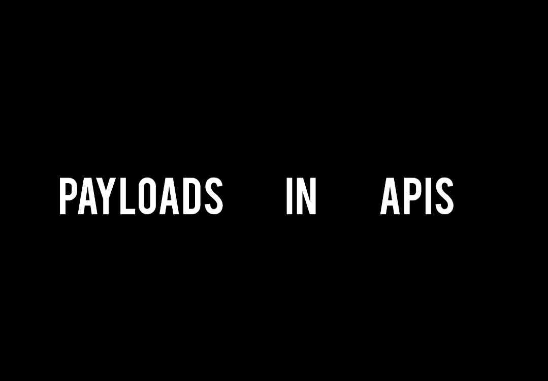 Payloads in APIs - MirrorLog